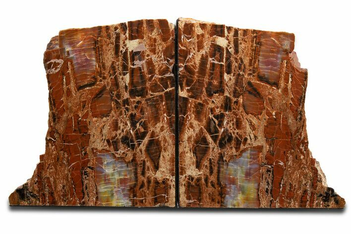 Tall Colorful Arizona Petrified Wood Bookends #344124